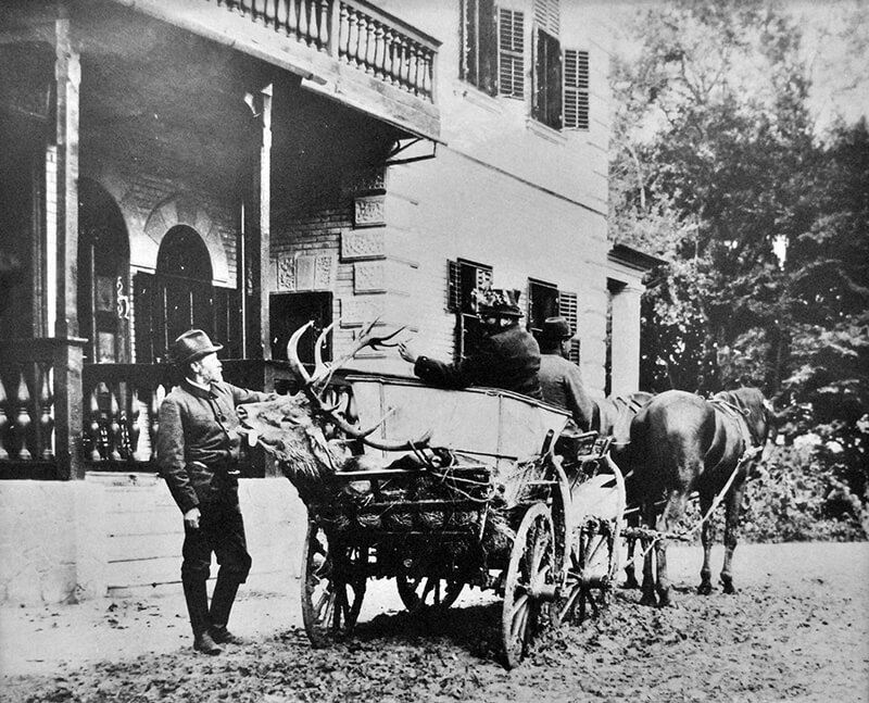 A huge deer, outside the hunting lodge, transported by horse and cart after the hunt