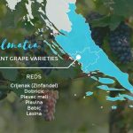 Croatian Wine Dalmatia 2