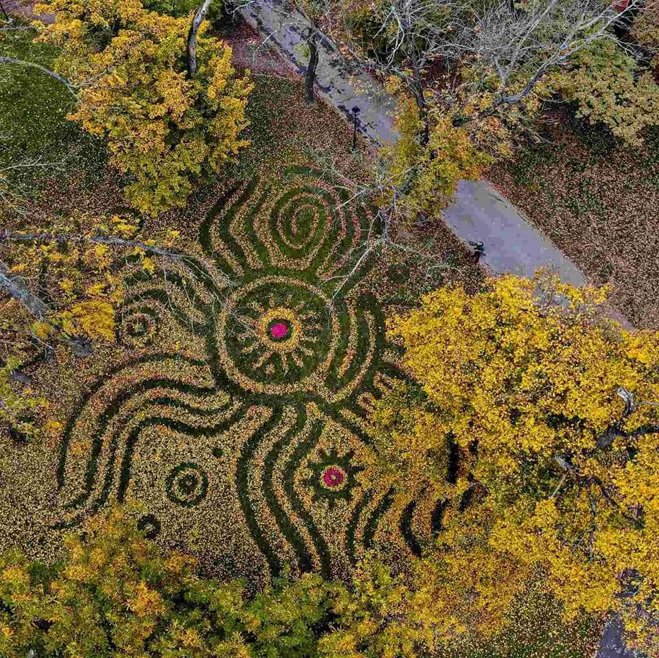 A leaf sculpture by Nikola Faller of Slama.