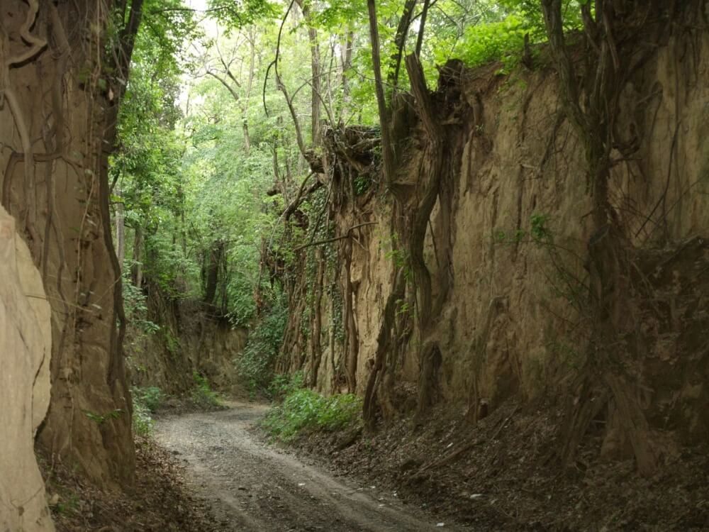 A Surduk in Baranja © Krešimir Čandrlić / Tourist Board of Osijek-Baranja County.