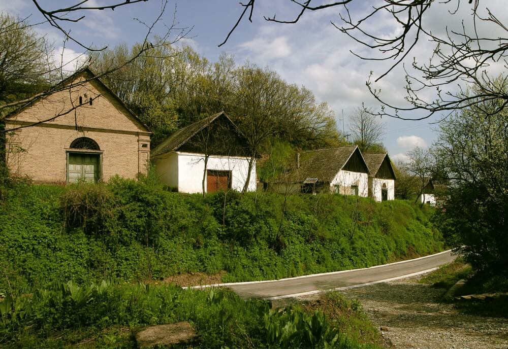 Gator cellars