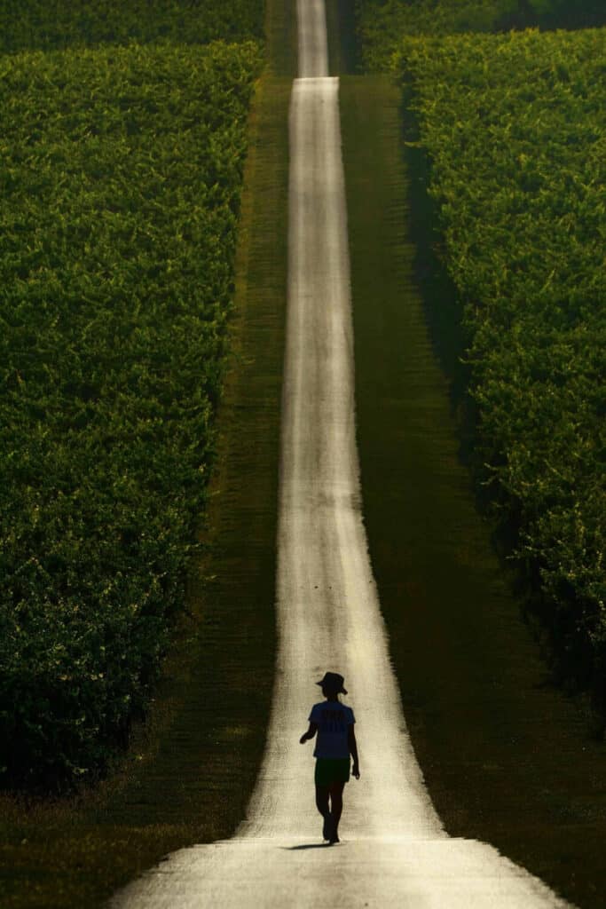 'Sunshine  Road', a photo taken in Karanac by Osijek's Damir Rajle