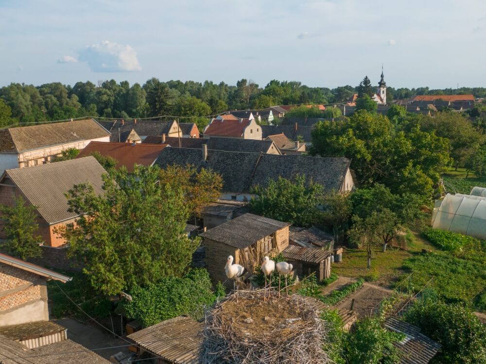 Kopačevo, Baranja