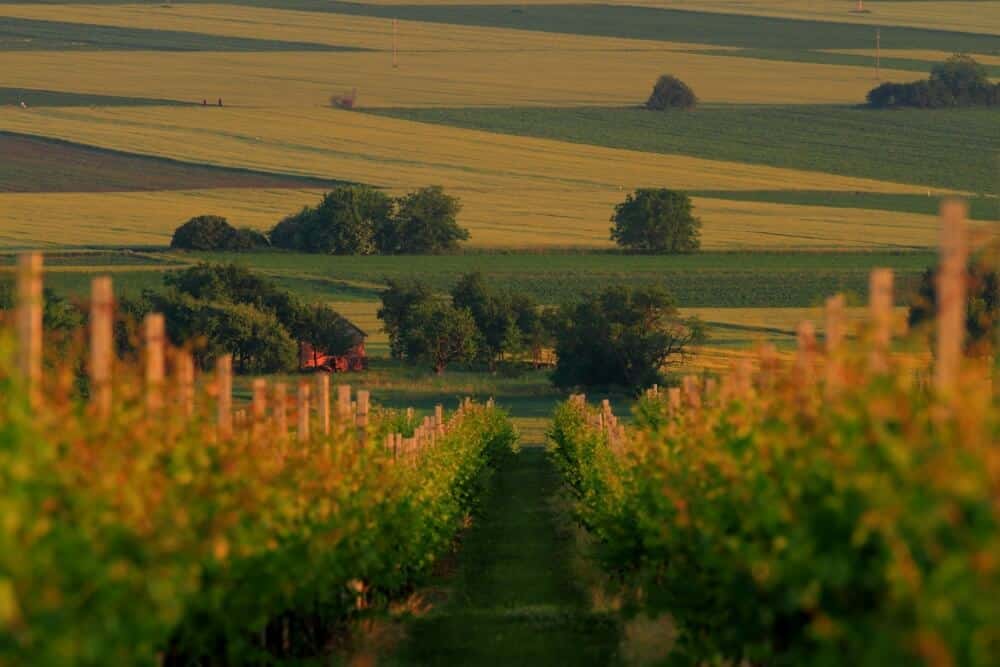 Fields outside Karanac