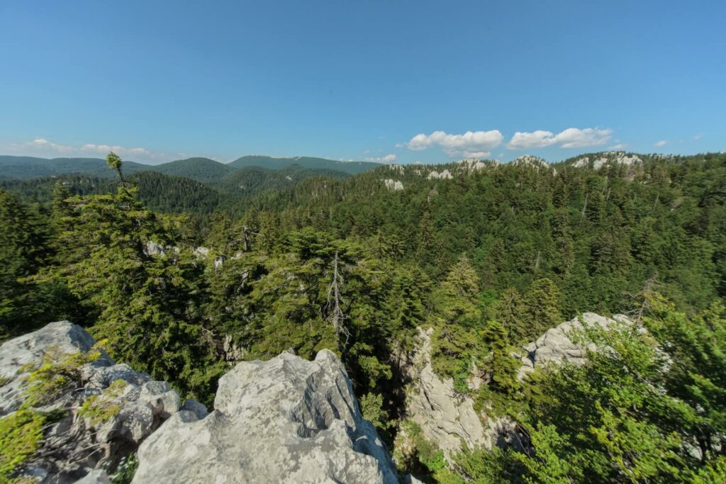 A sea of green in North Velebit National Park