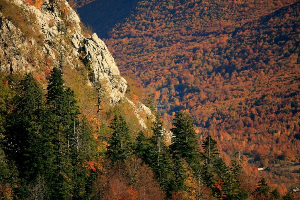 Shades of North Velebit National Park