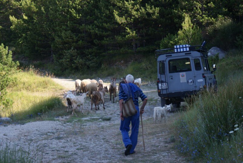 Biokovo Nature Park. Safari Makarska.